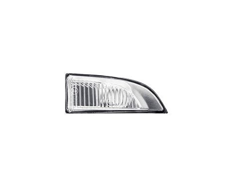 Blinker 4356916 Van Wezel