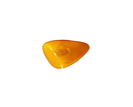 Blinker 4366916 Van Wezel