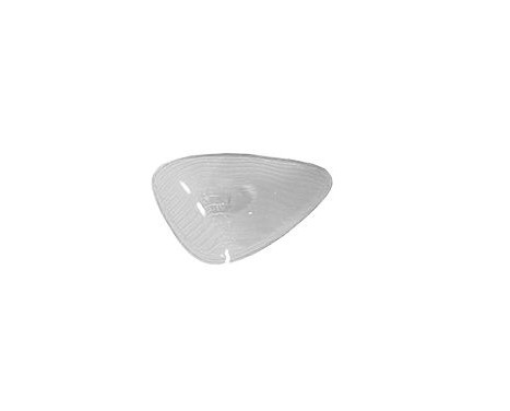 Blinker 4366918 Van Wezel