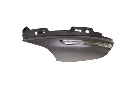 Blinker 4407915 Hagus