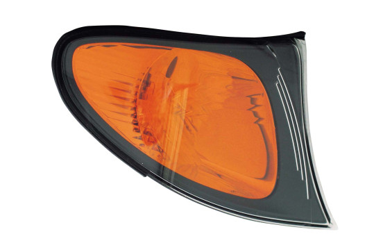 Blinkers 18-0163-05-2 TYC