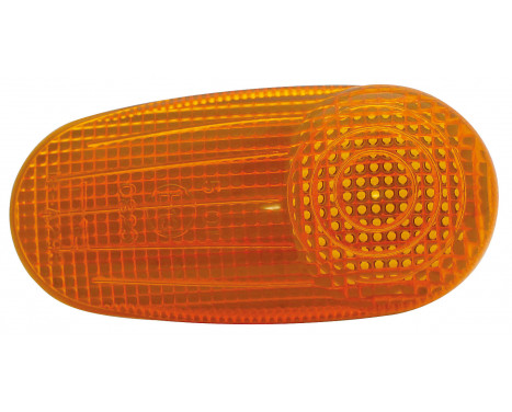 Blinkers 18-0293-01-2 TYC