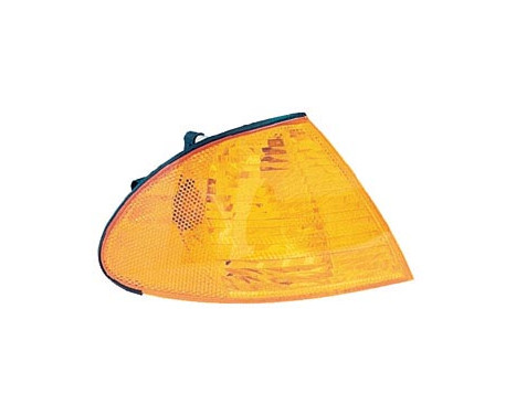 Blinkers 18-5356-05-9 TYC