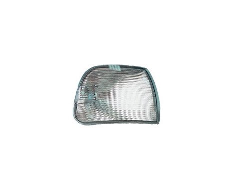 Blinkers 18-5541-05-2 TYC