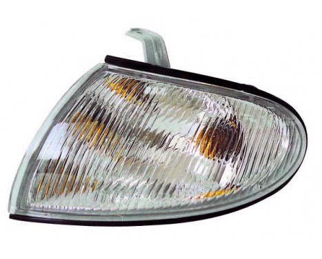 Blinkers 18-5586-01-2 TYC