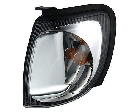 Blinkers 2BA 964 255-011 Hella