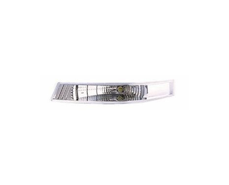 Blinkers 4387907 Van Wezel