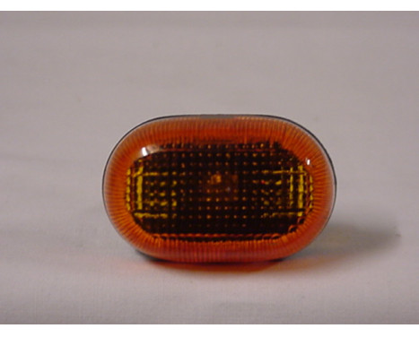 Blinkers 5212915 Van Wezel