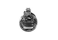 Blinkers 5817905 Van Wezel