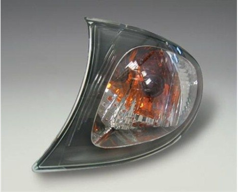 Blinkers LLD782 Magneti Marelli