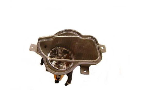 Dimljus höger 2000-2004 5931996 Van Wezel, bild 2