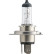 Phillips Masterduty H4, 24V75/70W, miniatyr 2