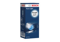 Bosch Pure Light RY10W, 12V10W