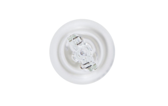 Bosch Pure Light W16W, 12V16W (2 stycken), bild 6