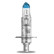 Osram Nattbroms H1, 12V55W, miniatyr 2