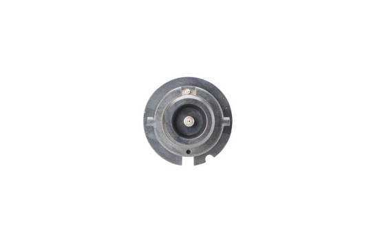 Bosch Xenon-HID, D2R, bild 6