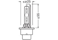 Glödlampa, pannlampa