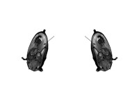 Strålkastare Set SET_3329964V Valeo