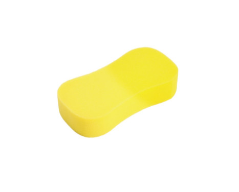 Svamp 195x120x50 mm