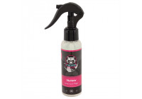 Racoon Tidy Interior Interior Cleaner 100ml