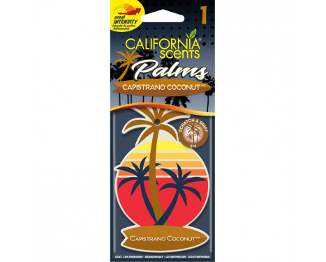 California Scents Palm Tree Air Freshener Capistrano Coconut 1 st