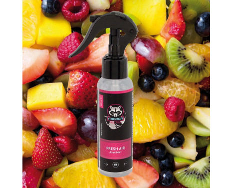 Racoon Car Fragrance Air Freshener - Fruit Mix 100ml, bild 3