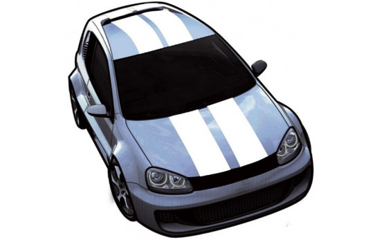 ViperStripes white - set of 2 pieces - length 500cm / width 10cm