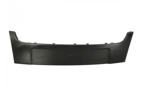 Licence Plate Holder