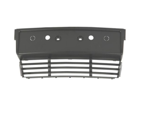 Licence Plate Holder