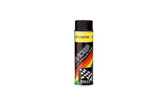 Paint Rallye Seidenglanz schwarz 500