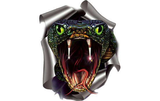 Sticker Snake - 17.6x20cm