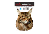 Car Tattoo Sticker Maine coon - 11x14.5cm