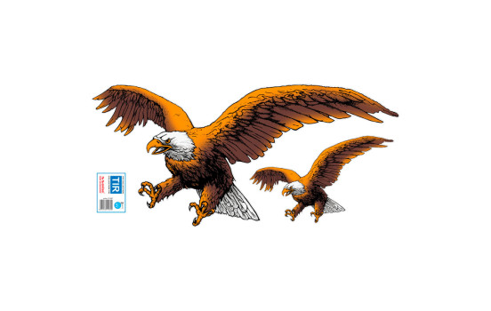 Car Tattoo Sticker Eagle 2pcs - 67x32cm