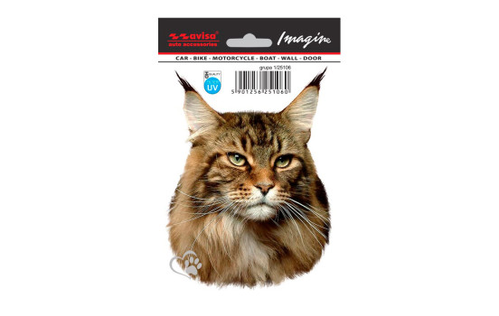 Car Tattoo Sticker Maine coon - 11x14.5cm