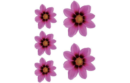Sticker Flower Garden - pink - 2x 16x15cm + 3x 8,5x8cm, Image 2