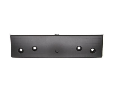 Licence Plate Holder