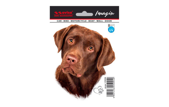 Car Tattoo Sticker Labrador - 11x13.2cm