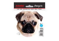 Car Tattoo Sticker Pug - 11x10.5cm