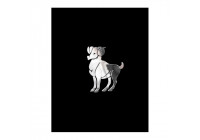 Nickel Sticker 'Aries' - 50x40mm