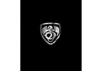 Nickel Sticker 'Dragon in a shield' - 50x45mm