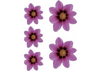 Sticker Flower Garden - pink - 2x 16x15cm + 3x 8,5x8cm