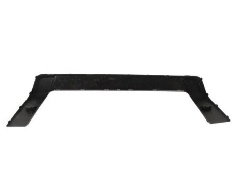 License plate holder, Image 2