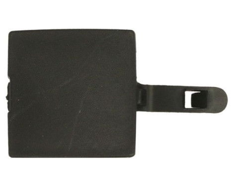 Bumper cover, tow bar