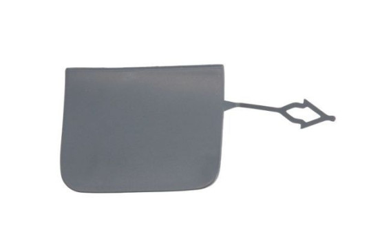 Bumper cover, tow bar