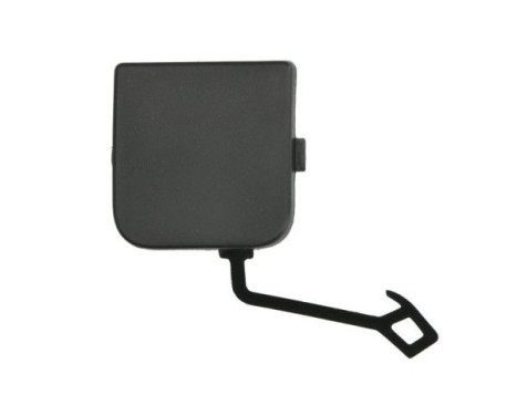 Bumper cover, tow bar