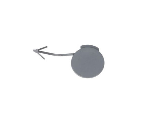 Bumper cover, tow bar