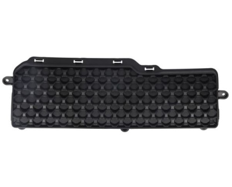 Bumper cover, tow bar