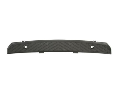 Cover, bumper