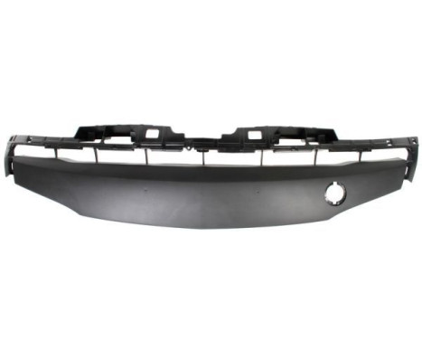 Cover, bumper