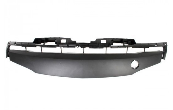 Cover, bumper